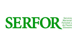 serfor