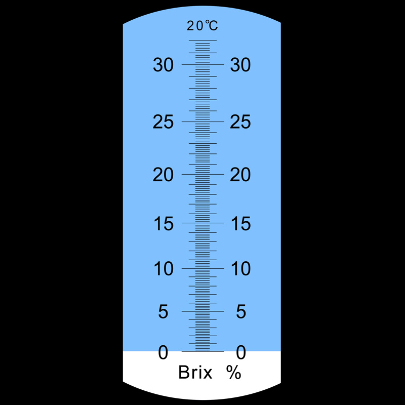 5950095_1531034.jpg