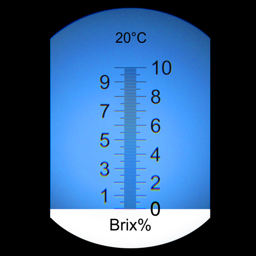 92636_1139225.jpg